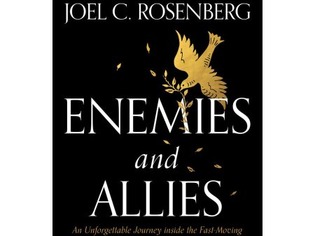 Enemies And Allies (Paperback) Online now