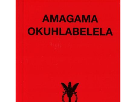 Amagama Okuhlabalela Zulu (Paperback) For Discount