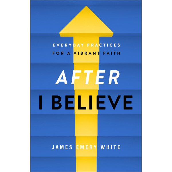 After  I Believe : Everyday Practices For A Vibrant Faith (Paperback) Cheap