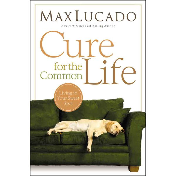 Cure For The Common Life (Paperback) Discount