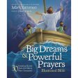 Big Dreams And Powerful Prayers Illustrated Bible (Hardcover) on Sale