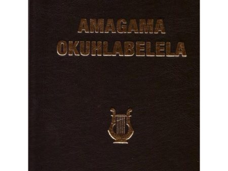 Amagama Okuhlabalela Zulu (Hardcover) Sale