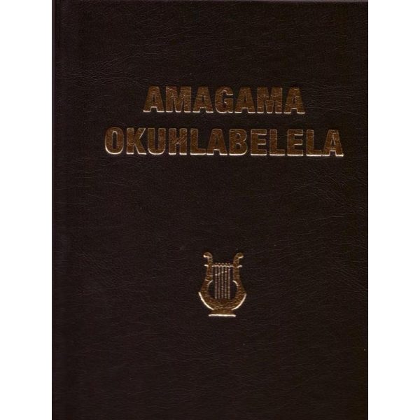 Amagama Okuhlabalela Zulu (Hardcover) Sale