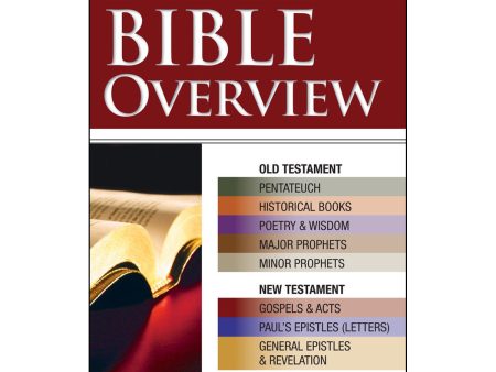 Bible Overview: Know Themes, Facts, And Key Verses At A Glance (Pamphlet) For Sale