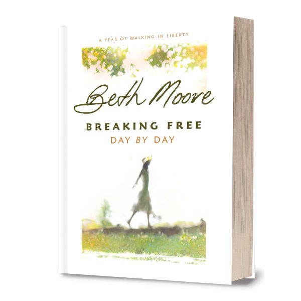 Breaking Free Day By Day (Hardcover) For Cheap