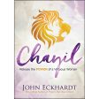 Chayil: Release The Power Of A Virtuous Woman (Paperback) Hot on Sale