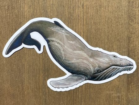 Humpback & Waves Vinyl Sticker Fashion