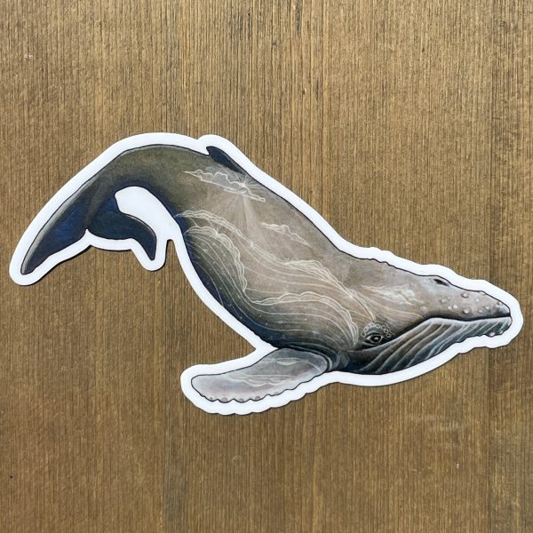 Humpback & Waves Vinyl Sticker Fashion