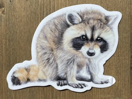 Baby Raccoon Vinyl Sticker Online Sale