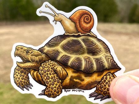 Slow Friends (Tortoise and Snail) VInyl Sticker Online