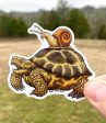 Slow Friends (Tortoise and Snail) VInyl Sticker Online