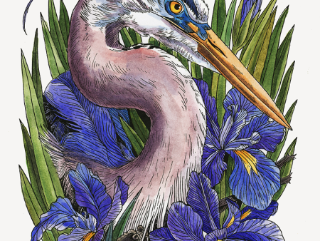 Great Blue Heron & Iris Art Print (8x10) Supply